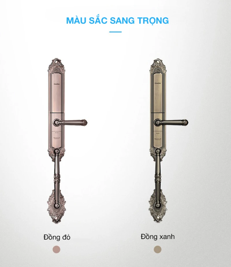 Hai phân loại màu sắc sang trọng