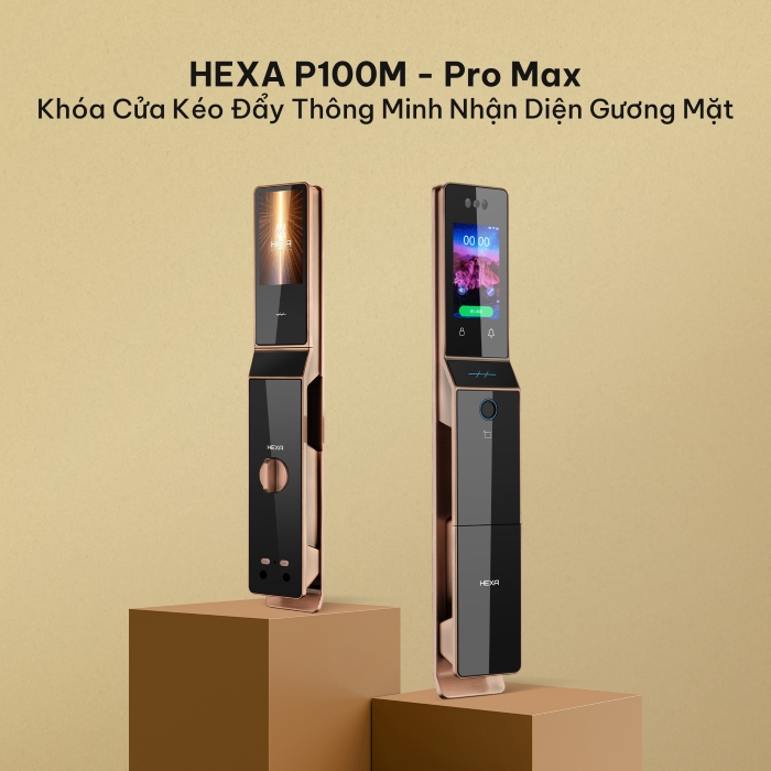 Hexa P100M-Promax 1