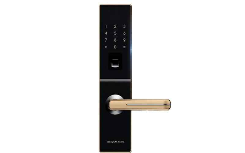 Khóa vân tay Dessmann G811-II