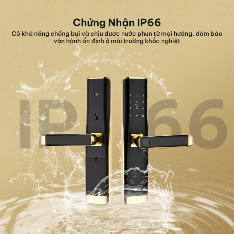 Gợi ý top 4 mẫu khóa cửa vân tay tại Bình Thuận được ưa chuộng nhất