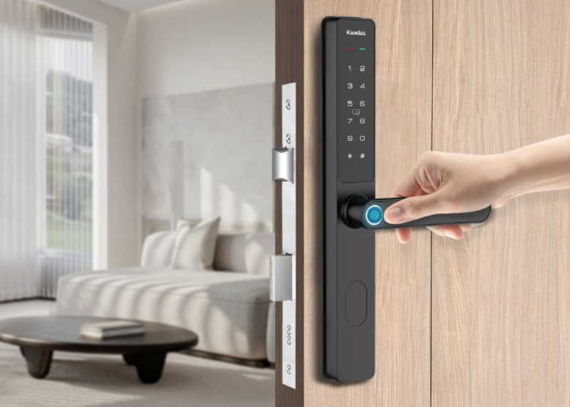 Nên dùng loại khóa cửa gỗ nào? Gợi ý cách chọn khóa phù hợp