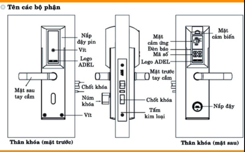 cau tao khoa the tu