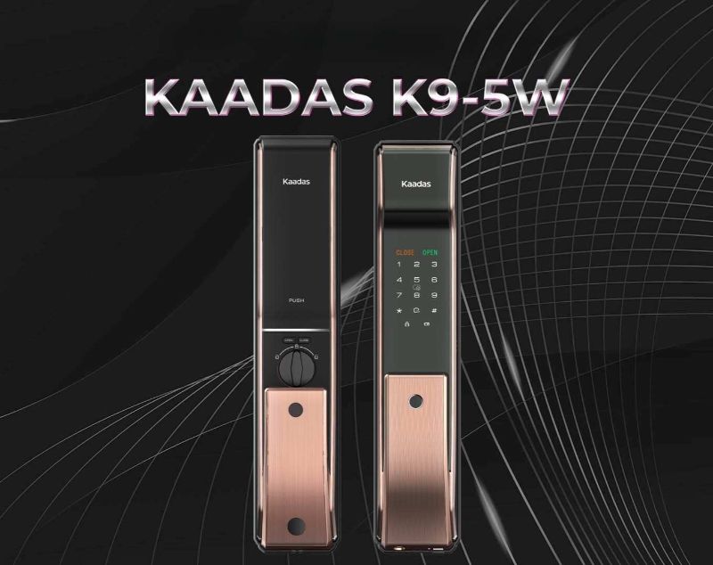 img the tu cua ra vao la gi 2