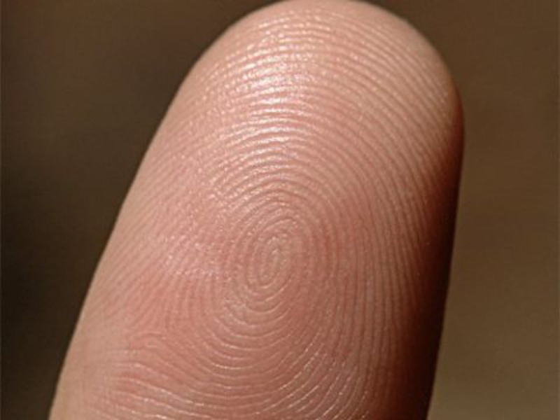 mã vân tay hay dấu vân tay