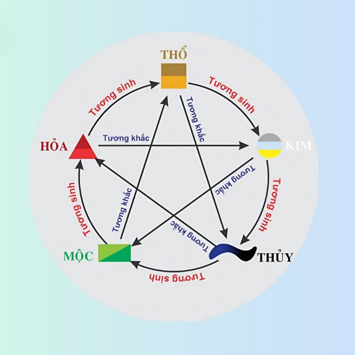 đồng xu hoa mai là gì 1