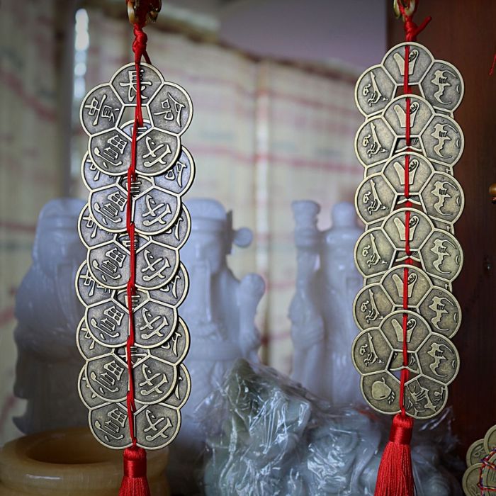 đồng xu hoa mai là gì 3