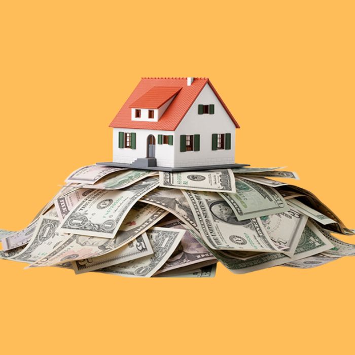 đồng xu hoa mai là gì 4