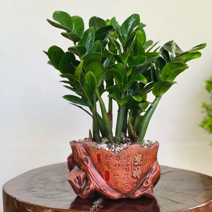 làm thế nào để kích hoạt cung tài lộc 2