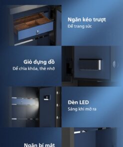 Phân chia khoa học bên trong két SBX602