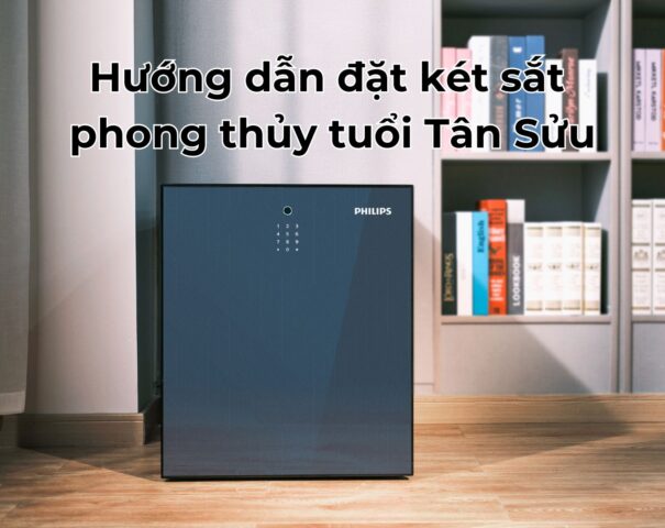 Hướng dẫn đặt két sắt phong thủy tuổi Tân Sửu