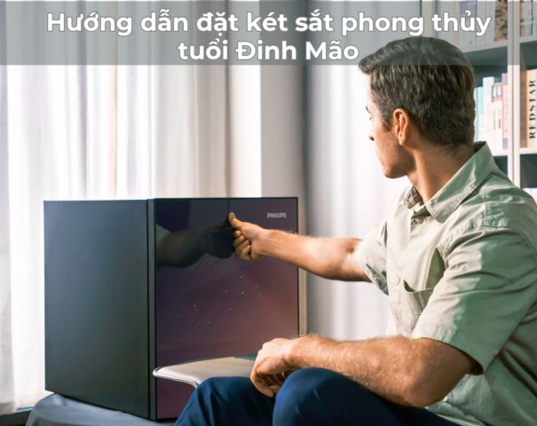 Hướng dẫn đặt két sắt phong thủy tuổi Đinh Mão