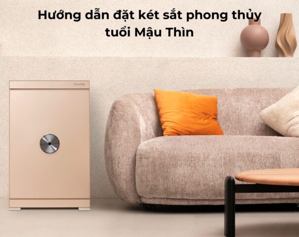 Hướng dẫn đặt két sắt phong thủy tuổi Mậu Thìn