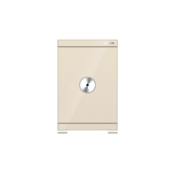 Két sắt Philips SBX602