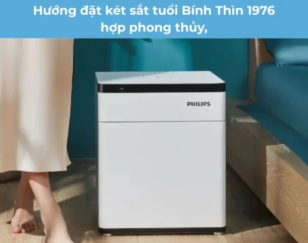 huong dan dat ket sat phong thuy tuoi binh thin