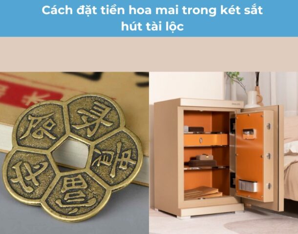 cách đặt đồng tiền hoa mai trong két sắt
