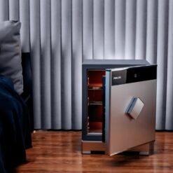 Két sắt điện tử cao cấp Philips SBX701