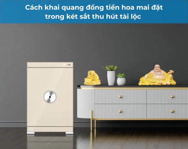 Cách khai quang đồng tiền hoa mai avt
