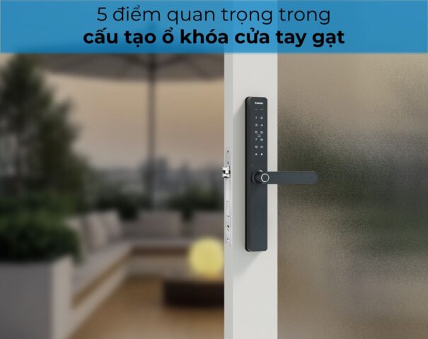Cấu Tạo Ổ Khóa Cửa Tay Gạt